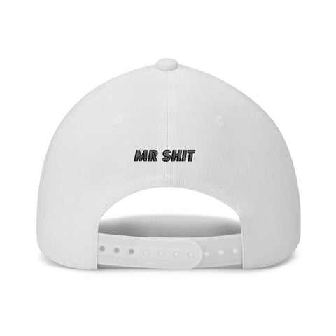 Mr.Shit Embroidered Baseball Caps Hats & Caps 42 $